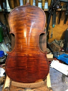 Pentagon violin back