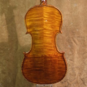 Pentagon violin back 2