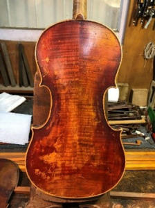 Barnea violin back