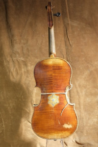 Unidentified violin back