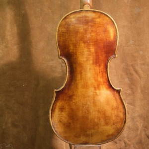 Strobel violin back