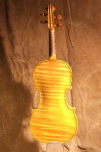 Rabin violin back