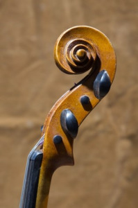violin pegbox
