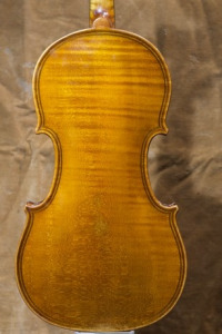 violin back